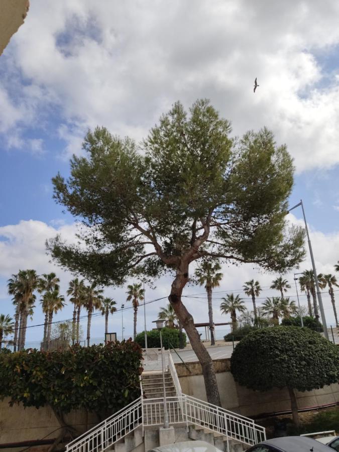 Apartamento Mare Nostrum Playa Arrabassada Ταραγόνα Εξωτερικό φωτογραφία